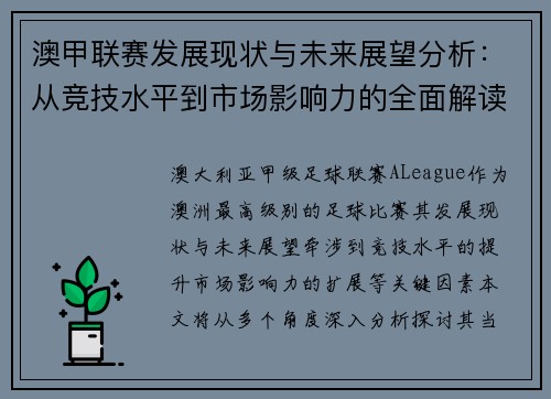 澳甲联赛发展现状与未来展望分析：从竞技水平到市场影响力的全面解读